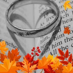 Meet your Posher, Lynnette